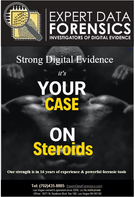 Expert Data Forensics Strength